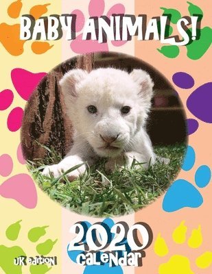 Sea Wall Uk - Baby Animals! 2020 Calendar (UK Edition), Häftad. Tillgänglighet: Lägg i varukorg