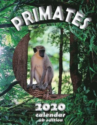 Wall Uk - Primates 2020 Calendar (UK Edition), Häftad. Tillgänglighet: Lägg i varukorg