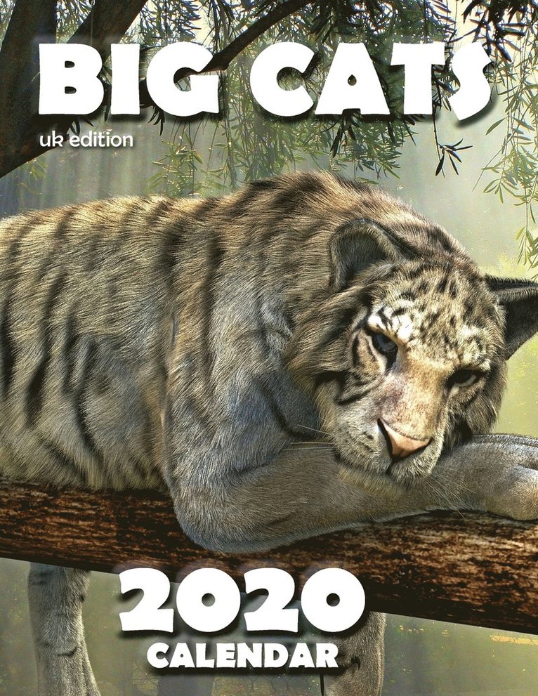 Wall Publishing Uk - Big Cats 2020 Calendar (UK Edition), Häftad. Tillgänglighet: Lägg i varukorg