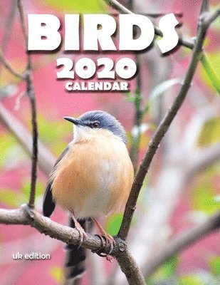 Birds 2020 Calendar (UK Edition)