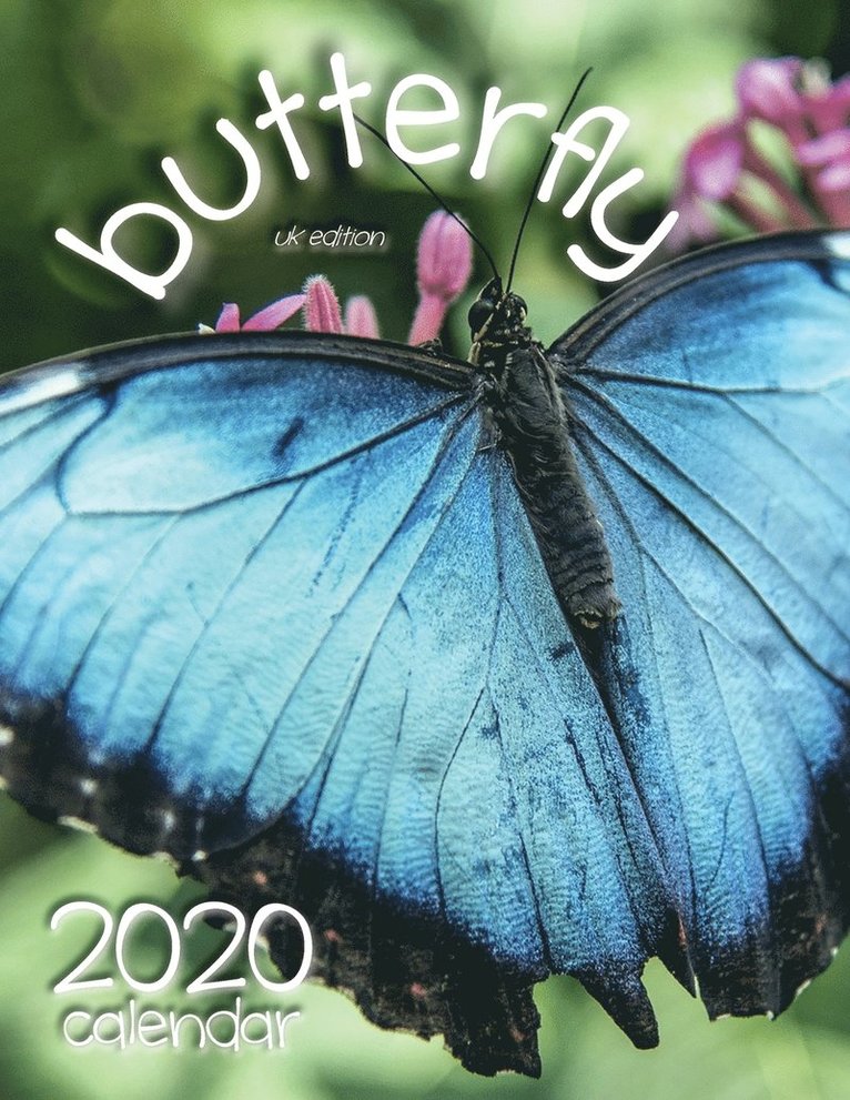 Wall Publishing Uk - Butterfly 2020 Calendar (UK Edition), Häftad. Tillgänglighet: Lägg i varukorg