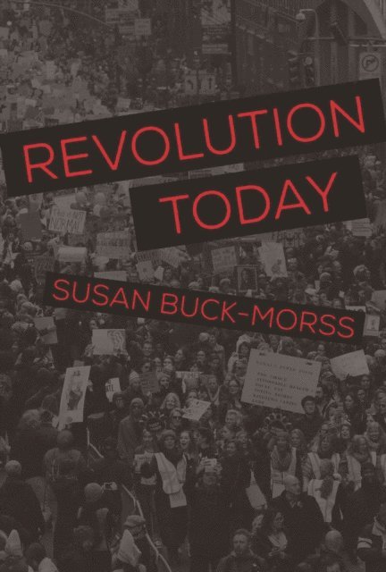 Susan Buck-Morss - Revolution Today, E-bok