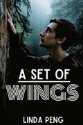 A Set of Wings