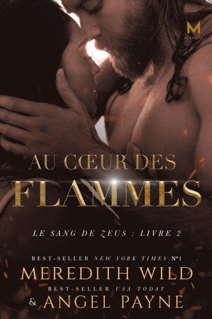 Angel Payne, Meredith Wild - Au Coeur Des Flammes, E-bok