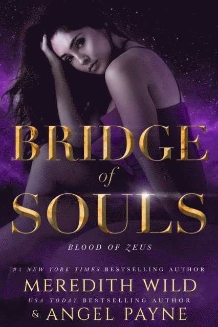 Angel Payne, Meredith  Wild - Bridge of Souls, E-bok