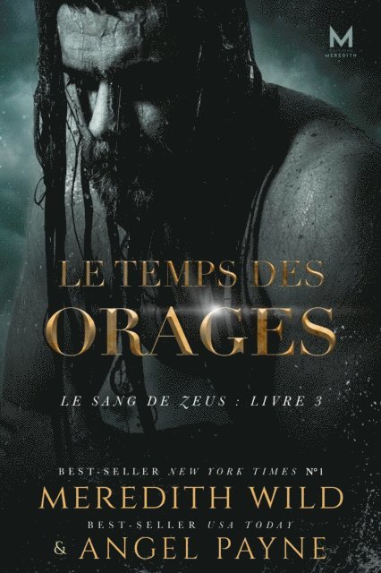 Angel Payne, Meredith Wild - Le Temps des orages, E-bok