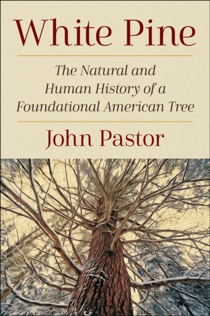 John Pastor - White Pine, E-bok
