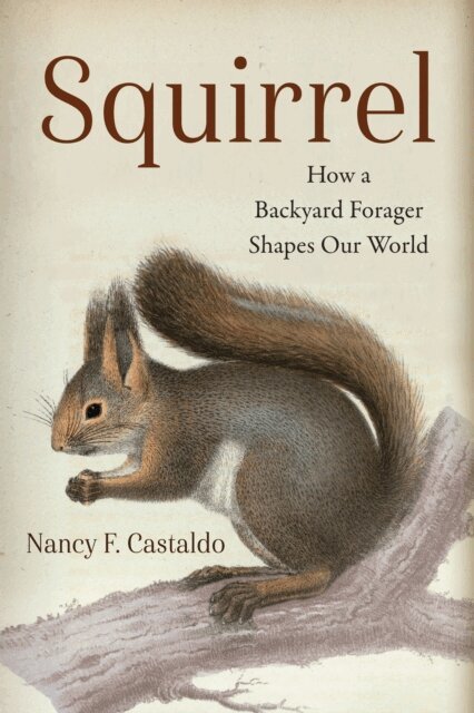 Nancy Castaldo - Squirrel, E-bok