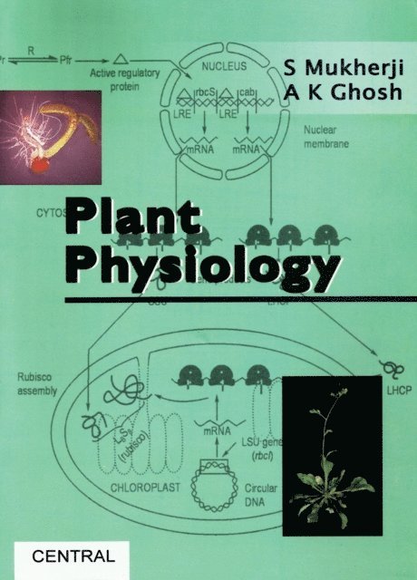 A. K. Ghosh, S. Mukherji - Plant Physiology, E-bok