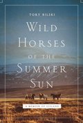 Wild Horses of the Summer Sun
