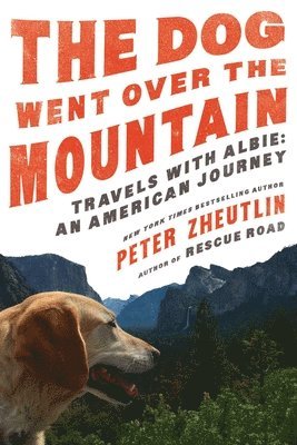 Peter Zheutlin - Dog Went Over the Mountain, Inbunden. Tillgänglighet: Tillfälligt slut