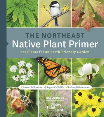 Native Plant Trust, Uli Lorimer - Northeast Native Plant Primer, Häftad. Tillgänglighet: Lägg i varukorg