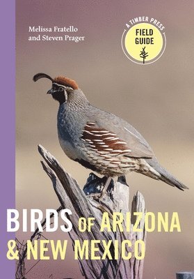 Melissa Fratello, Steven Prager - Birds of Arizona and New Mexico, Häftad