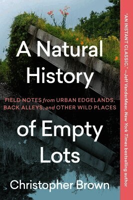 A Natural History of Empty Lots