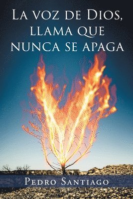 Pedro Santiago - Voz de Dios Llama que Nunca se Apaga, Häftad