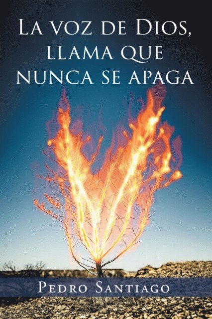 Pedro Santiago - Voz de Dios Llama que Nunca se Apaga, E-bok