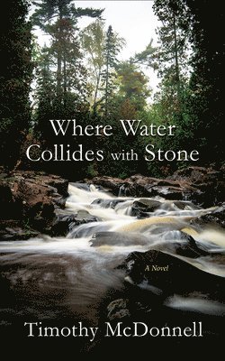 Timothy McDonnell, Ensey - Where Water Collides with Stone, Häftad