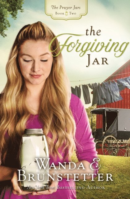 Wanda E. Brunstetter - Forgiving Jar, E-bok