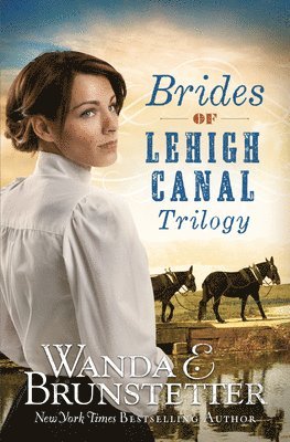 Brides of Lehigh Canal Trilogy