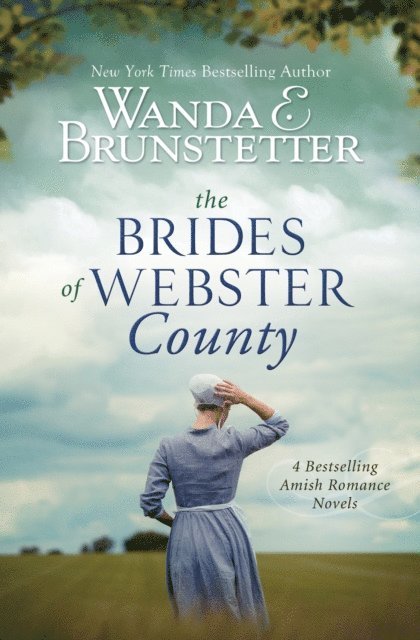 Wanda E. Brunstetter - Brides of Webster County, E-bok