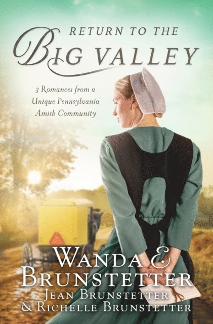 Richelle Brunstetter, Jean Brunstetter, Wanda E. Brunstetter - Return to the Big Valley, E-bok