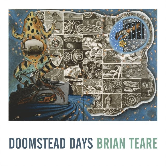 Brian Teare - Doomstead Days, E-bok