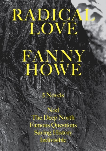Fanny Howe - Radical Love, E-bok