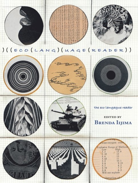 Brenda Iijima - eco language reader, E-bok