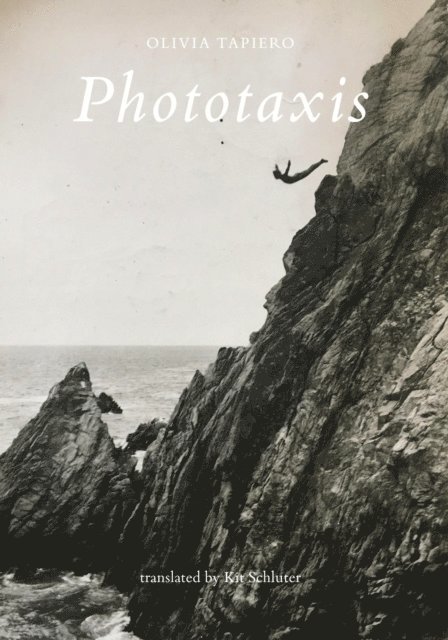Olivia Tapiero - Phototaxis, E-bok