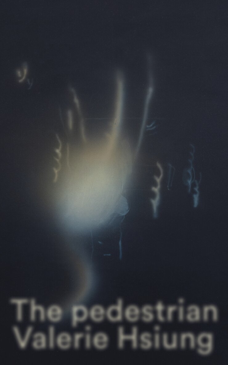 Valerie Hsiung - pedestrian, Häftad