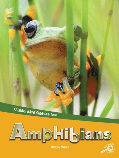 Jodie Mangor - Animals Have Classes Too! Amphibians, E-bok