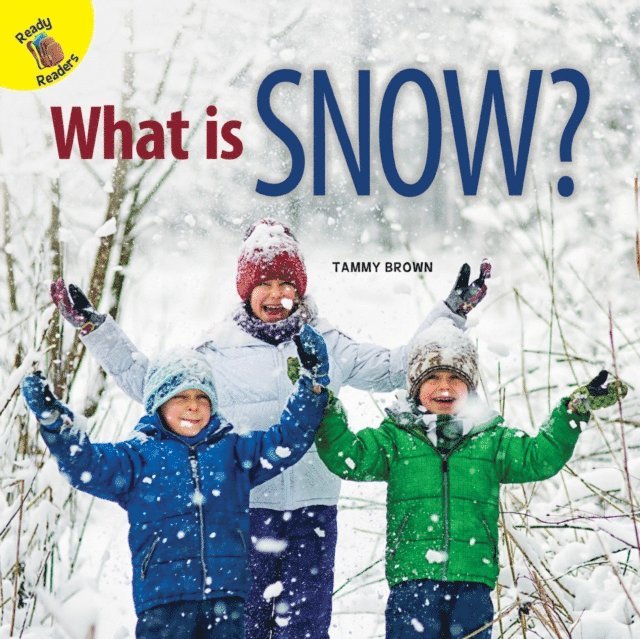 Tammy Brown - What is Snow?, E-bok