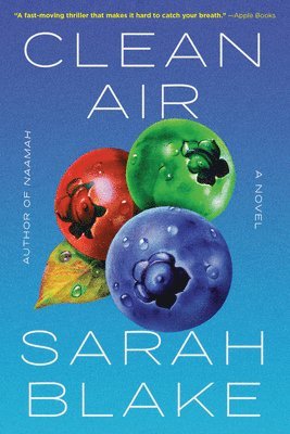 Sarah Blake - Clean Air, Häftad