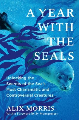Alix Morris - A Year with the Seals: Unlocking the Secrets of the Sea's Most Charismatic and Controversial Creatures, Inbunden