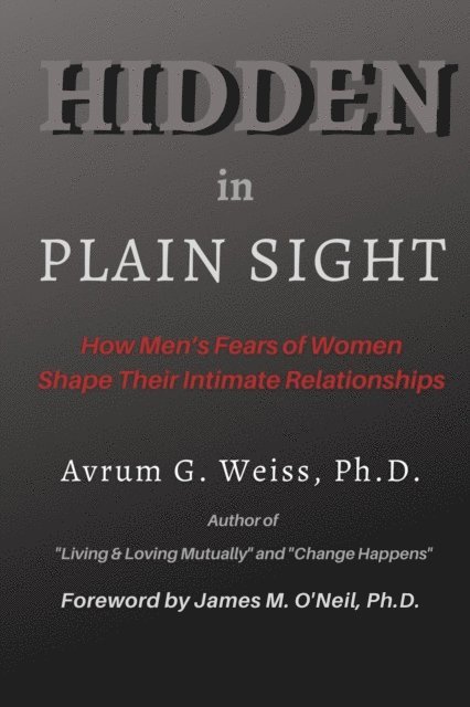Avrum G Weiss, L. Michelle Tullier - Hidden in Plain Sight, E-bok
