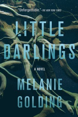 Melanie Golding - Little Darlings, Häftad. Tillgänglighet: Lägg i varukorg