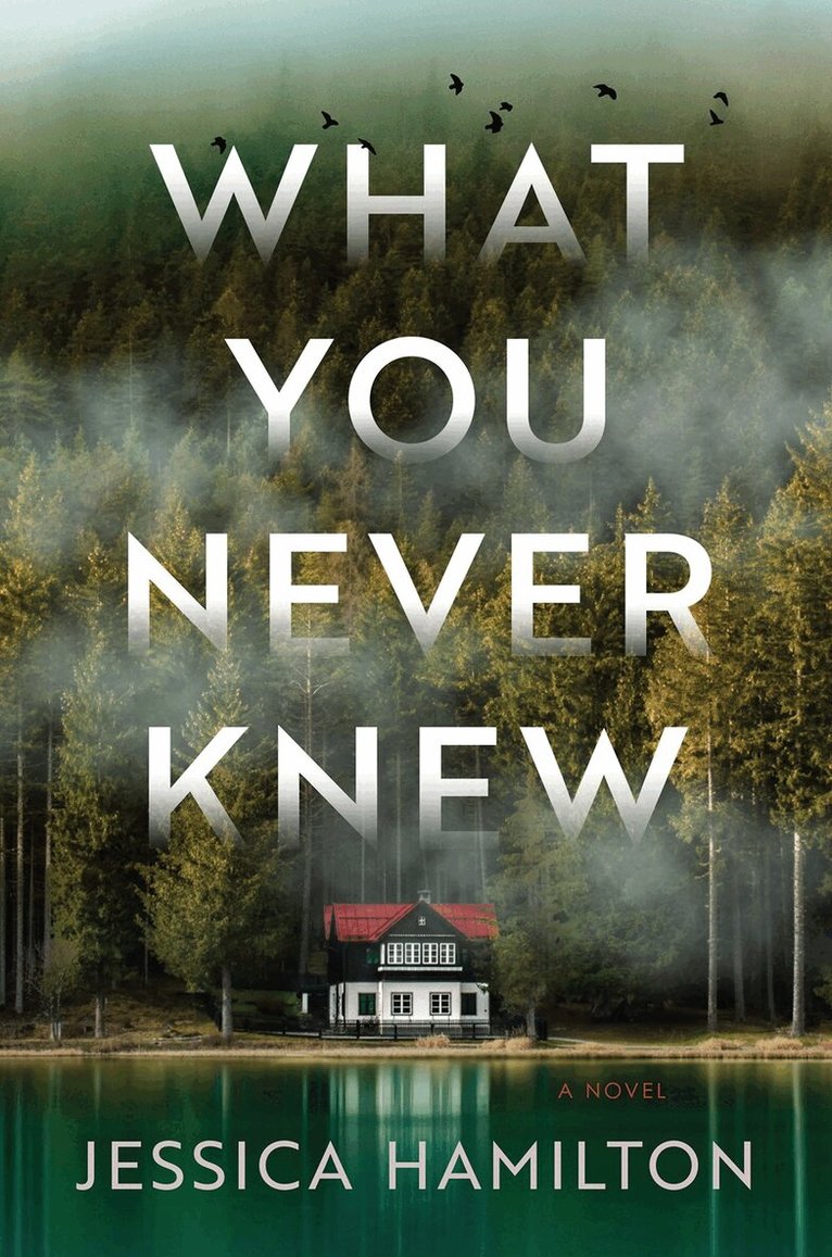 Jessica Hamilton - What You Never Knew, Inbunden