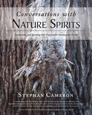 Stephan Cameron - Conversations with Nature Spirits, Häftad. Tillgänglighet: Lägg i varukorg