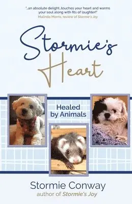 Stormie Conway - Stormie's Heart, Häftad. Tillgänglighet: Lägg i varukorg