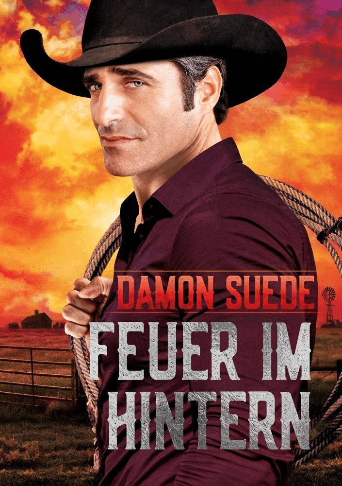 Damon Suede - Feuer im Hintern, Häftad
