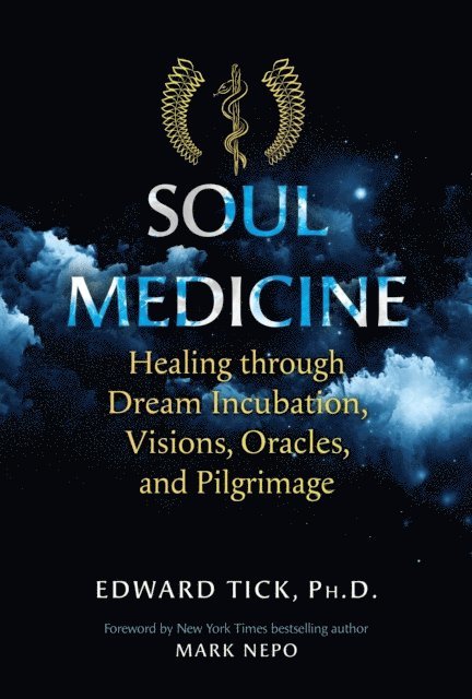 Edward Tick - Soul Medicine, E-bok