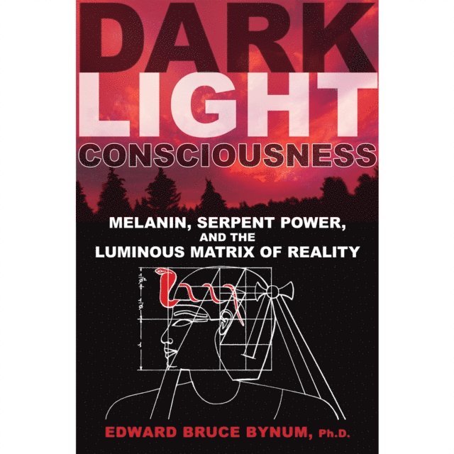 Edward Bruce Bynum - Dark Light Consciousness, Ljudbok