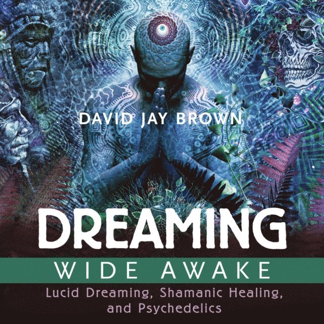 David Jay Brown - Dreaming Wide Awake, Ljudbok