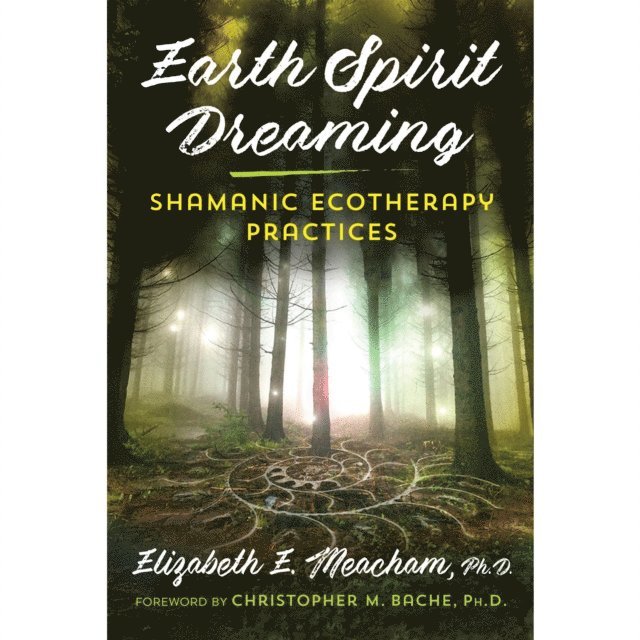 Elizabeth E. Meacham - Earth Spirit Dreaming, Ljudbok