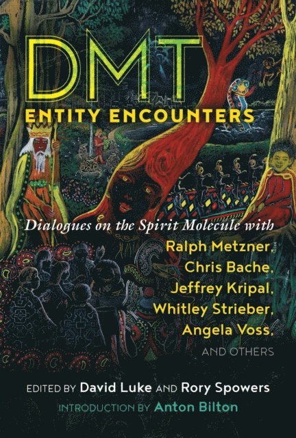 Rory Spowers, David Luke - DMT Entity Encounters, E-bok