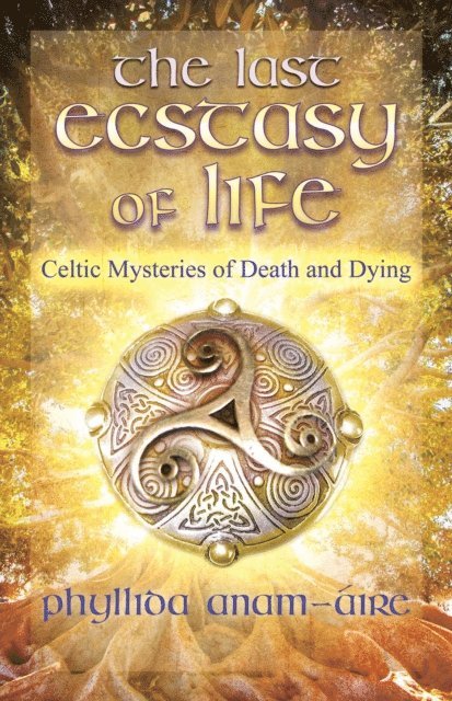Phyllida Anam-Aire - Last Ecstasy of Life, E-bok