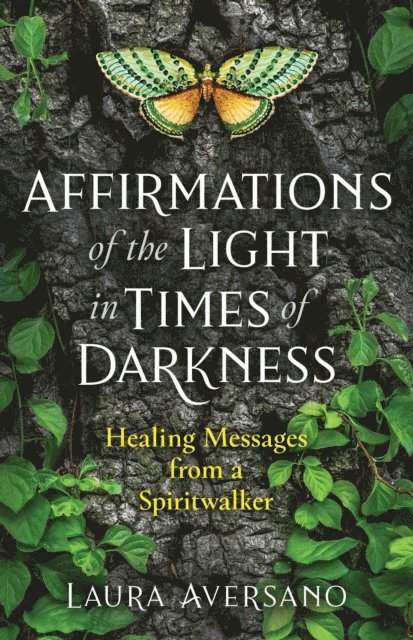Laura Aversano - Affirmations of the Light in Times of Darkness, E-bok