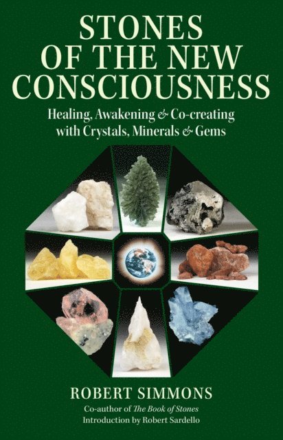 Robert Simmons - Stones of the New Consciousness, E-bok