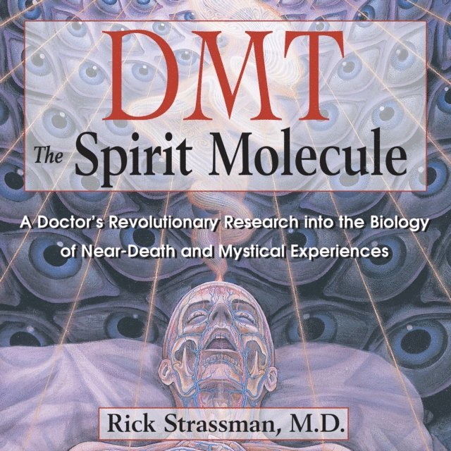 Rick Strassman - DMT: The Spirit Molecule, Ljudbok
