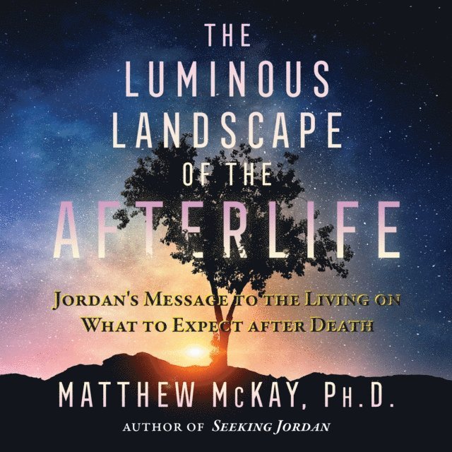 Matthew McKay - Luminous Landscape of the Afterlife, Ljudbok